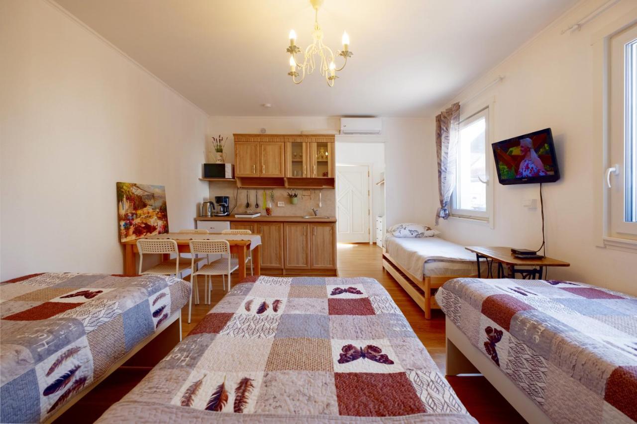 Eco-Lux Apart With Free Bicycles End Free Parking リュブリャナ エクステリア 写真