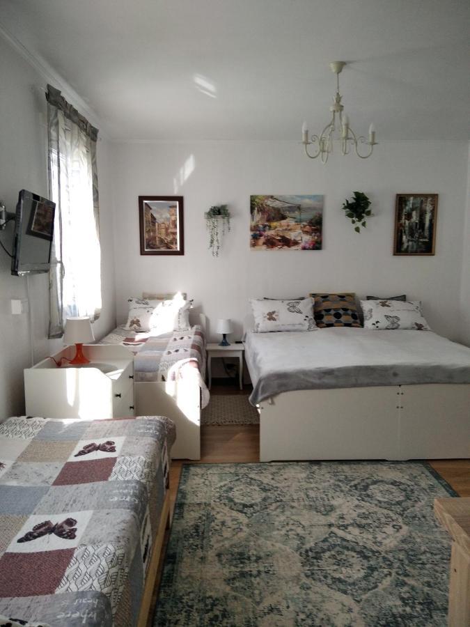 Eco-Lux Apart With Free Bicycles End Free Parking リュブリャナ エクステリア 写真