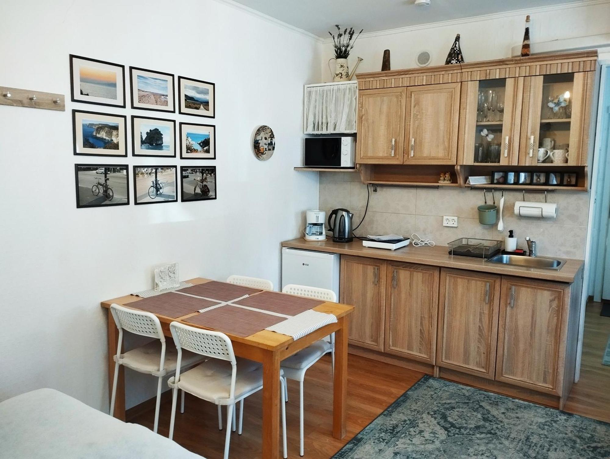Eco-Lux Apart With Free Bicycles End Free Parking リュブリャナ エクステリア 写真