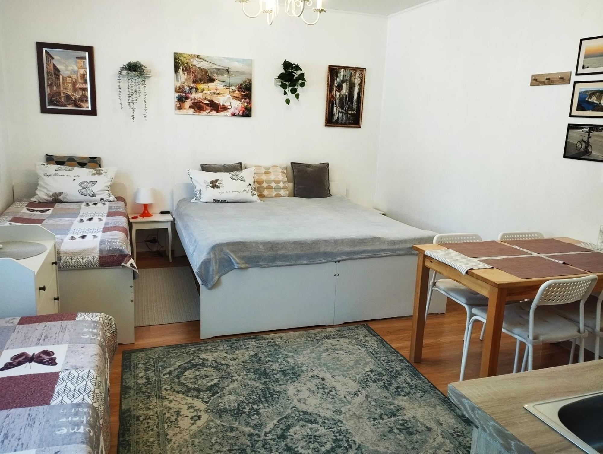 Eco-Lux Apart With Free Bicycles End Free Parking リュブリャナ エクステリア 写真